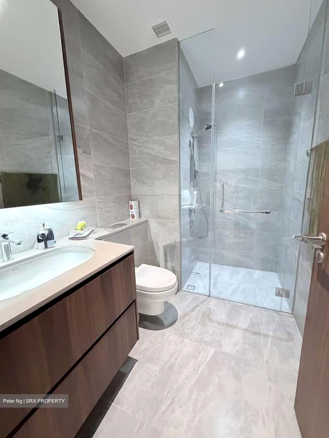 Phoenix Residences (D23), Apartment #576672491